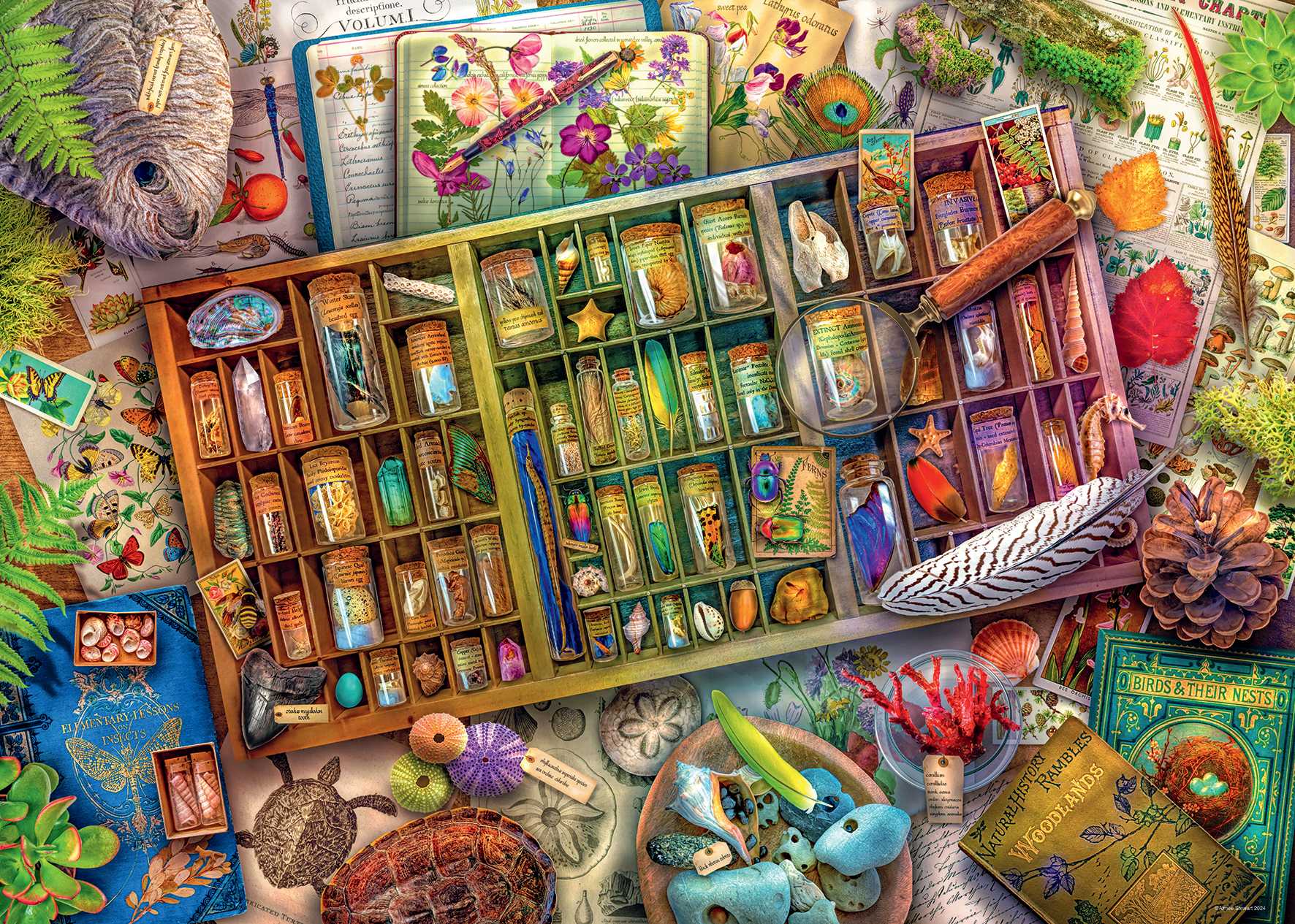 The Natural World - 1000 piece - Ravensburger