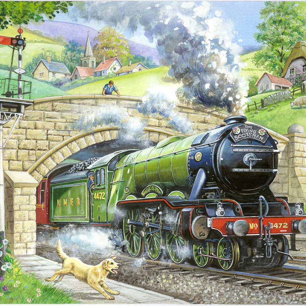 Train Spotting - Big 250 Piece - House of Puzzles