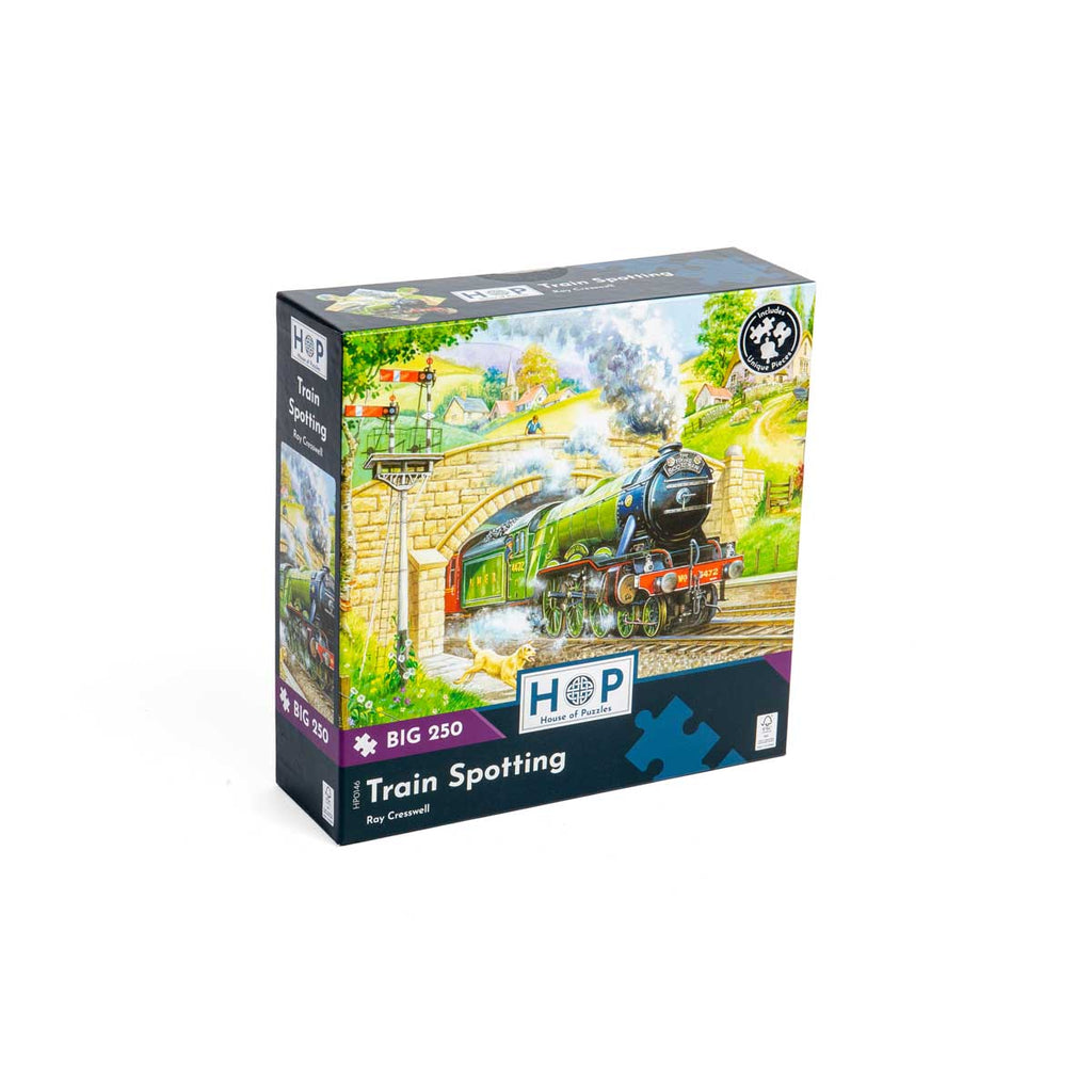 Train Spotting - Big 250 Piece - House of Puzzles