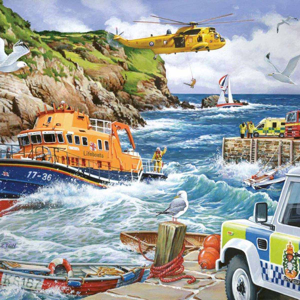 Rescue - 1000 Piece - House of Puzzles