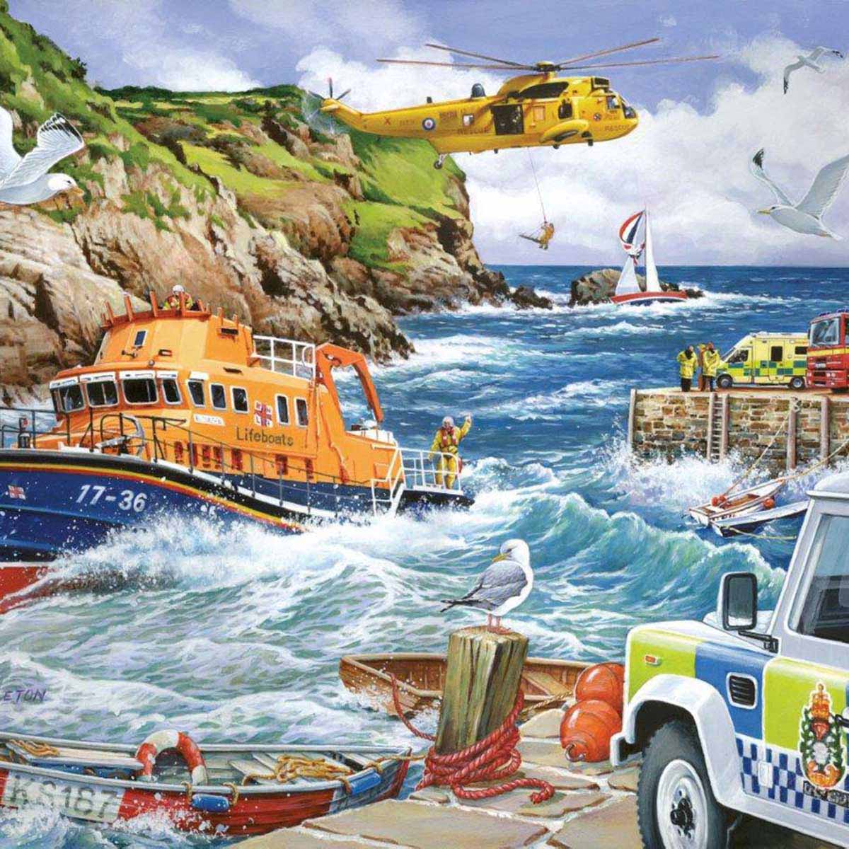 Rescue - 1000 Piece - House of Puzzles