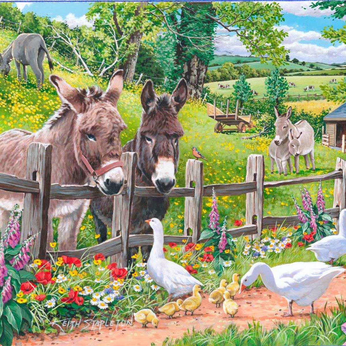 Jack & Jenny - Big 250 Piece - House of Puzzles