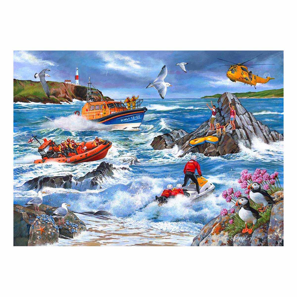Against The Tide - 1000 Piece - House of Puzzles