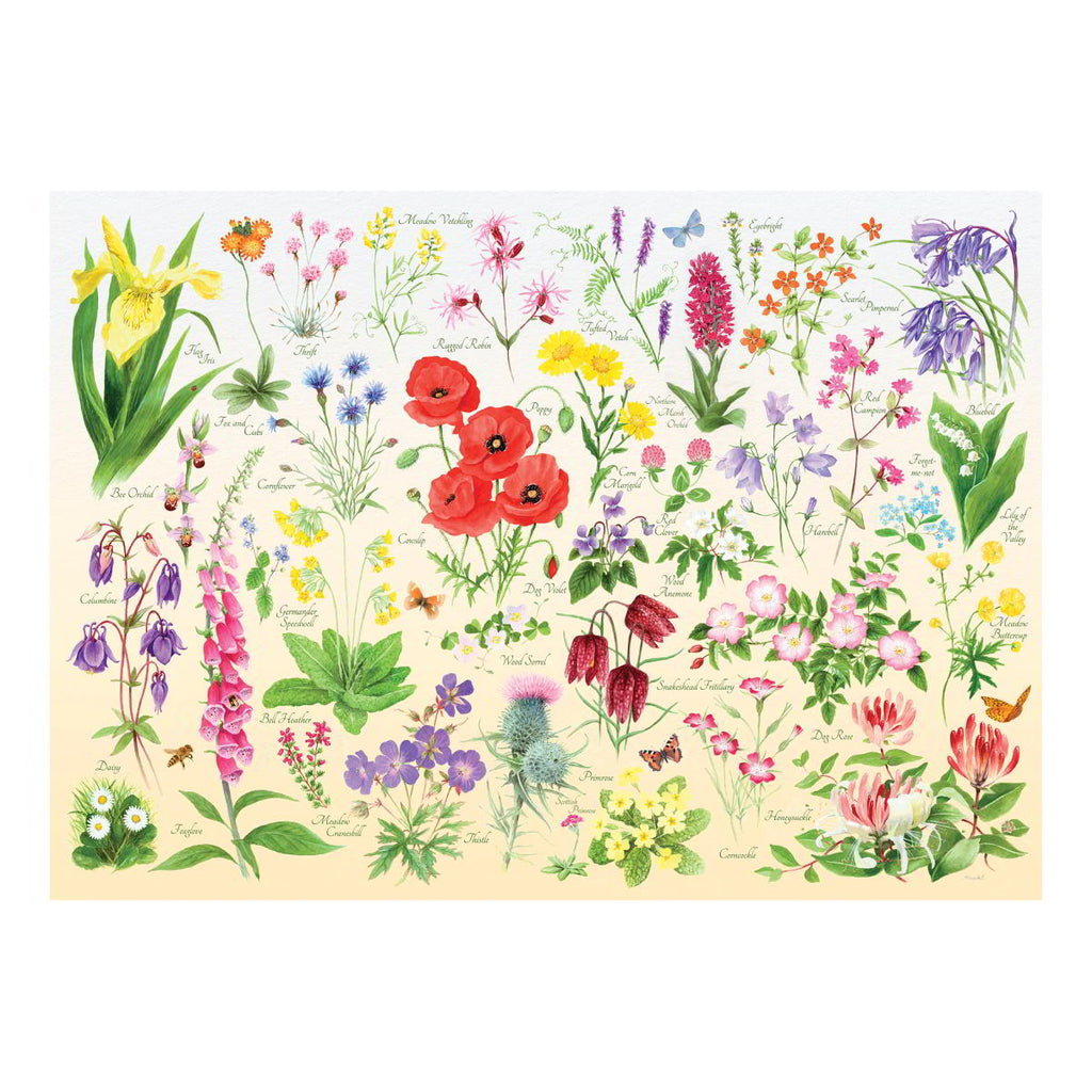 Wildflowers - 1000 Piece - House of Puzzles