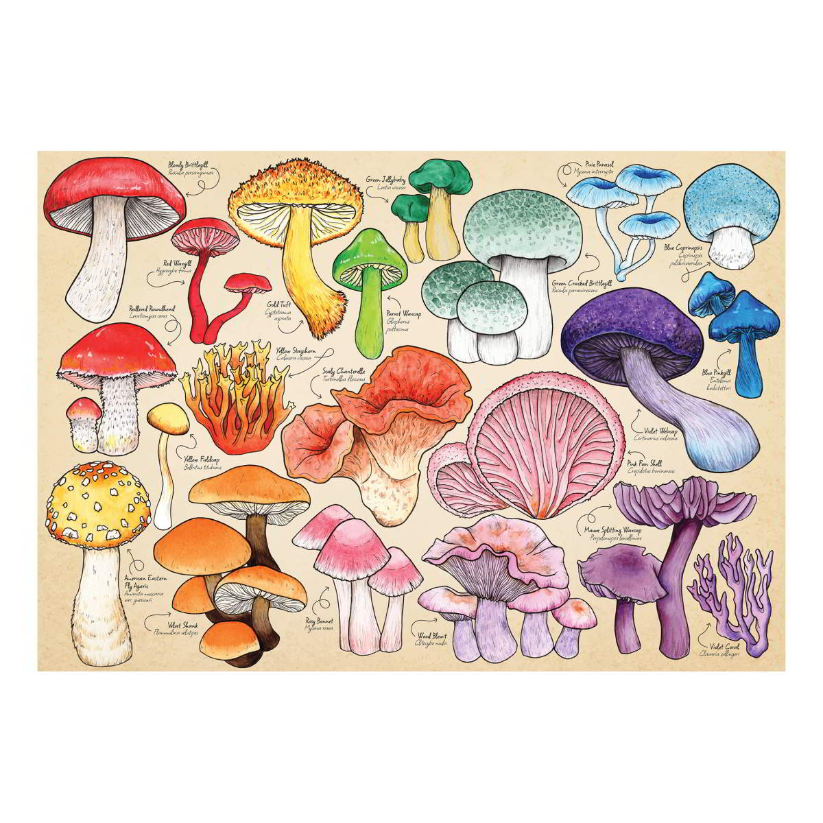 Mushroom Mania - 1000 Piece - House of Puzzles