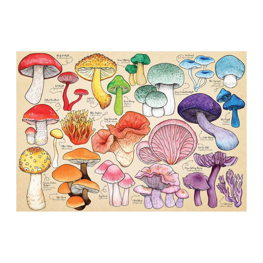 Mushroom Mania 1000 piece jigsaw puzzle by House of Puzzles, alternate view
