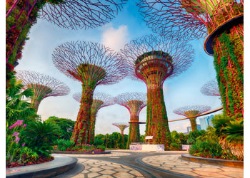 Garden by the Bay at Singapore - 1500 piece - Ravensburger