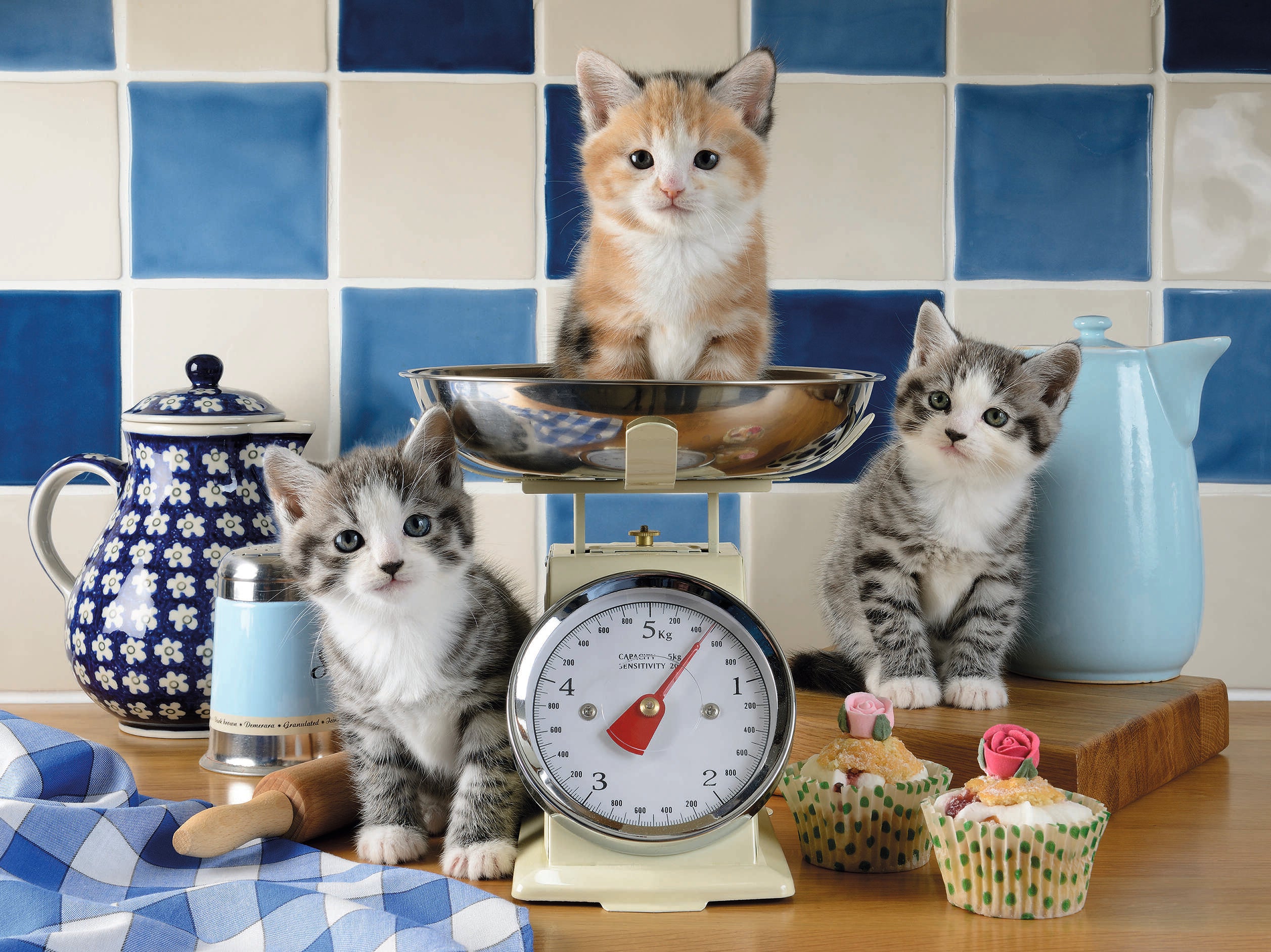 Kitten in the Kitchen - 1500 piece - Ravensburger