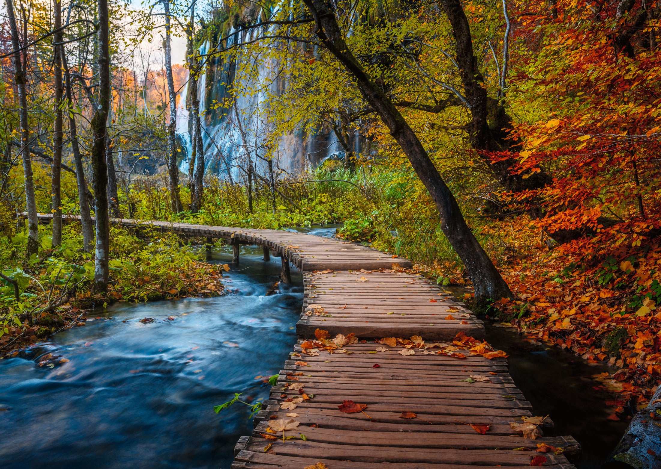 Autumnal Forest Path - 1000 piece - Ravensburger