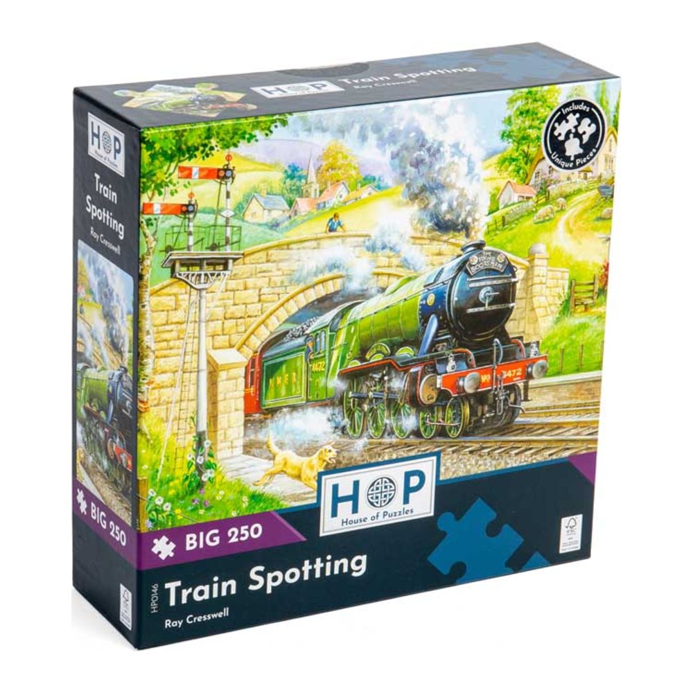 Train Spotting 250 large piece jigsaw puzzle by House of Puzzles