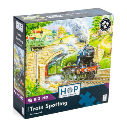 Train Spotting 250 large piece jigsaw puzzle by House of Puzzles